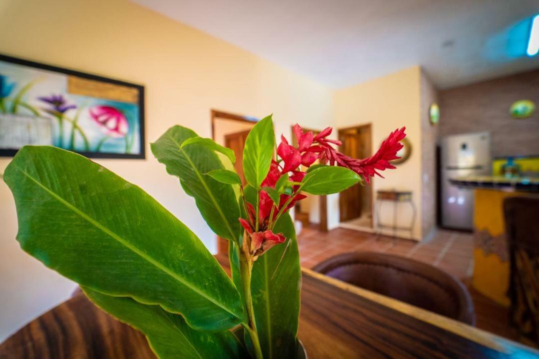 Casa Palmito Cerca De La Playa Villa Yelapa Luaran gambar
